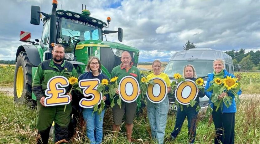 Charity Sunflower Field Raises over £3000!! Image
