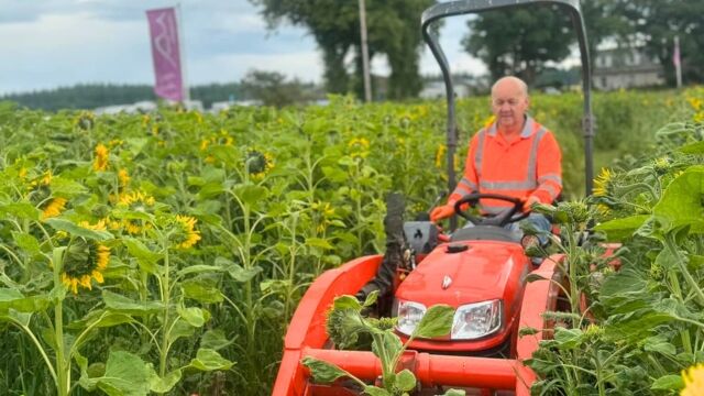 Stroll through our Charity Sunflower Field